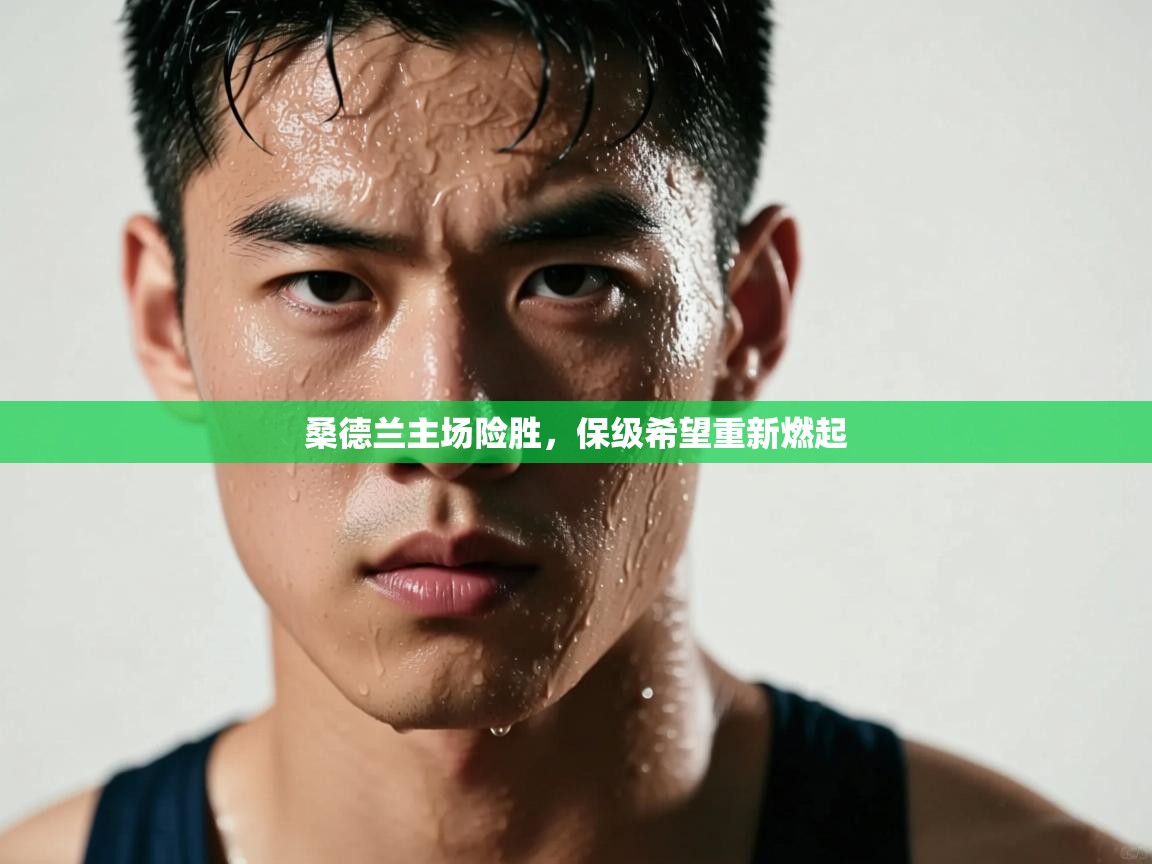 桑德兰主场险胜,保级希望重新燃起 第2张