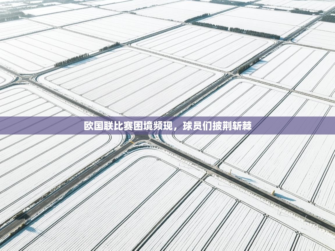 欧国联比赛困境频现，球员们披荆斩棘  第2张