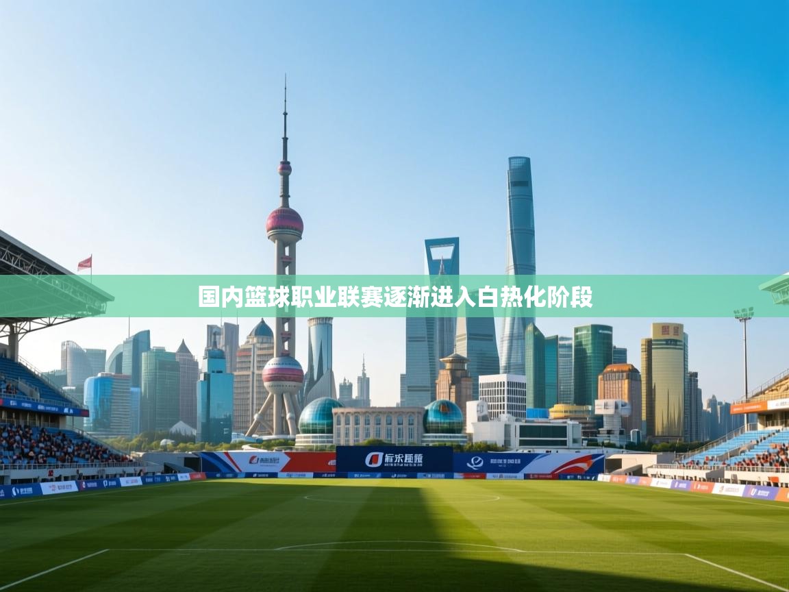 国内篮球职业联赛逐渐进入白热化阶段 第1张