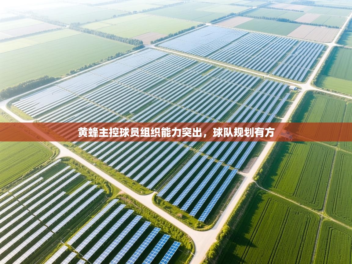 黄蜂主控球员组织能力突出，球队规划有方  第1张