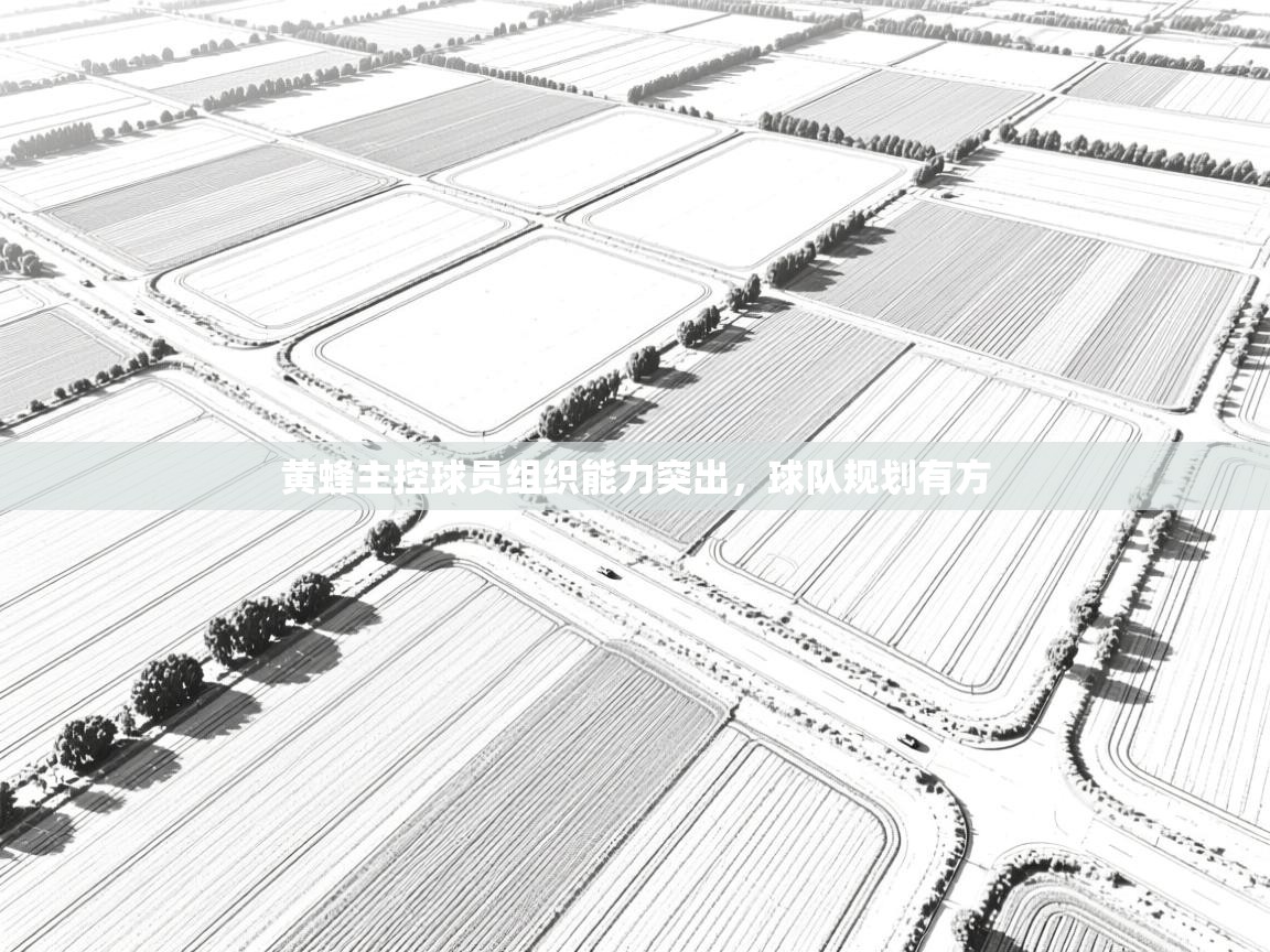 黄蜂主控球员组织能力突出，球队规划有方  第2张